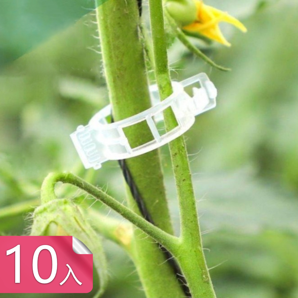 【茉家】環保型植物卡扣固定夾-10入
