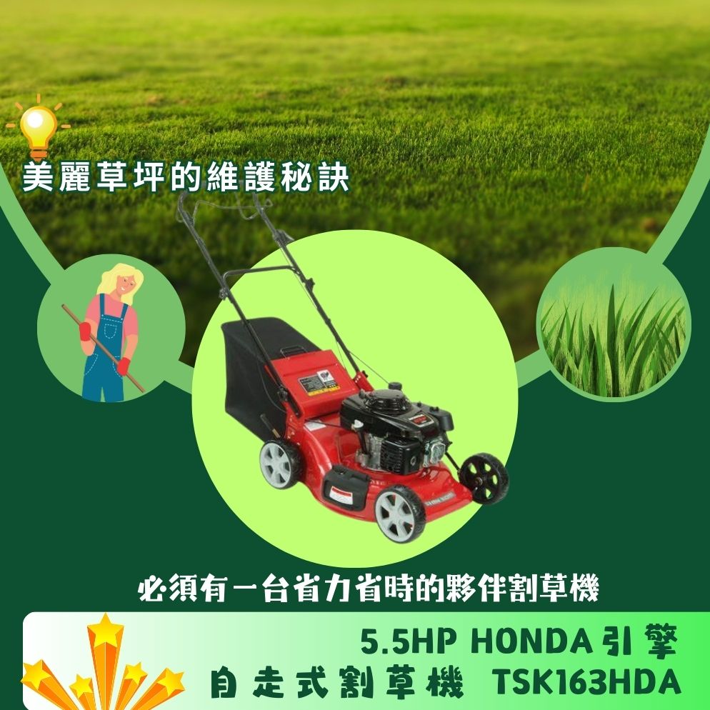 SHIN KOMI 型鋼力 5.5HP HONDA引擎自走式割草機TSK163HDA