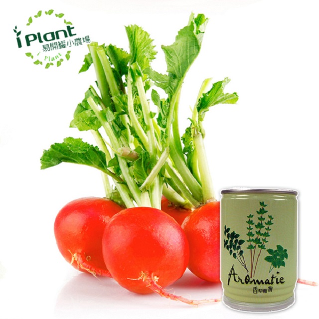【iPlant】罐頭懶人盆栽 - 櫻桃蘿蔔
