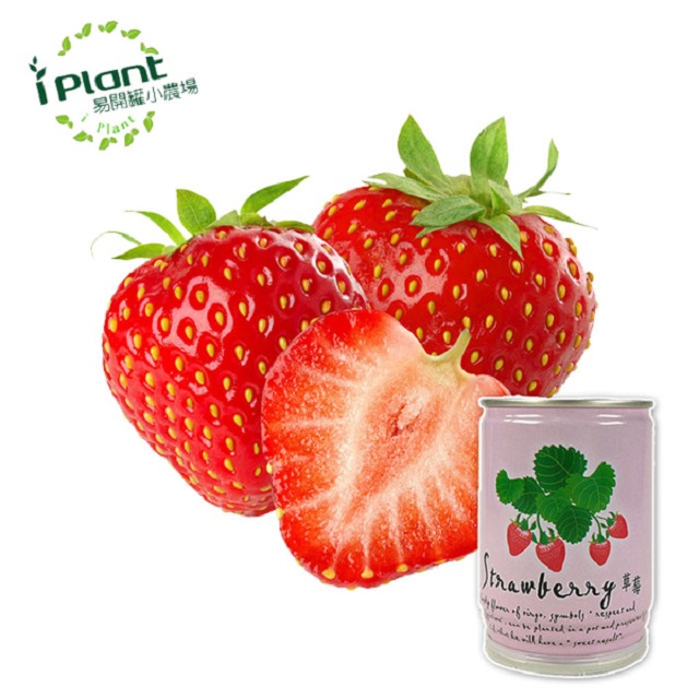 【iPlant】罐頭懶人盆栽 - 草莓