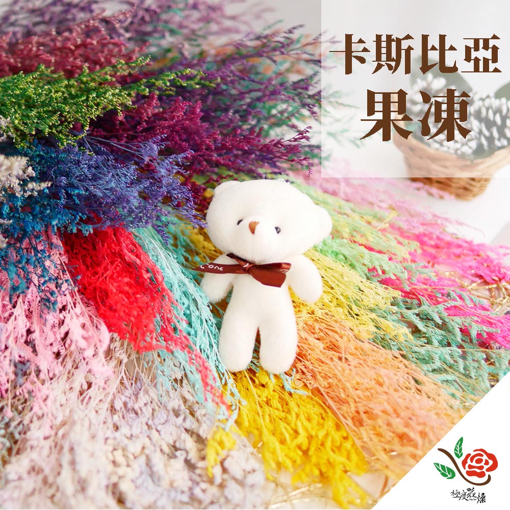 【極度花燥】卡斯比亞 果凍
