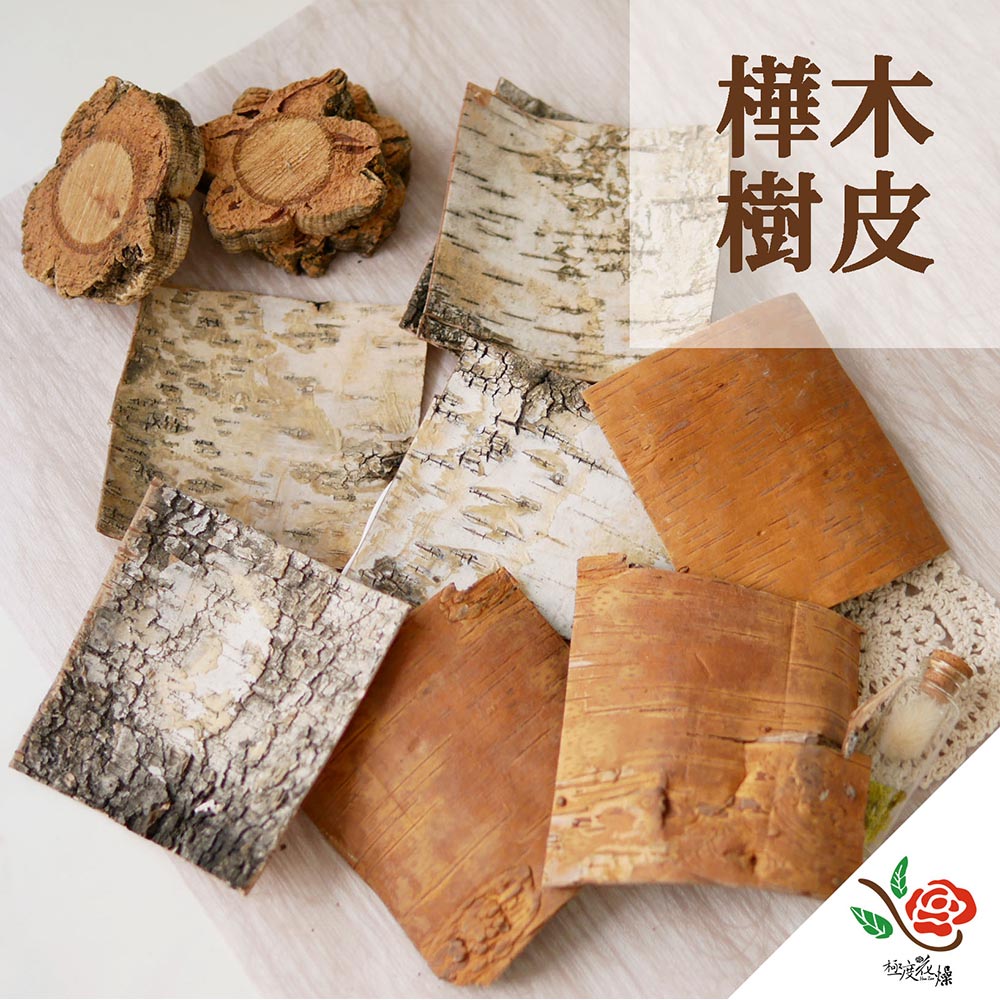 【極度花燥】樺木樹皮
