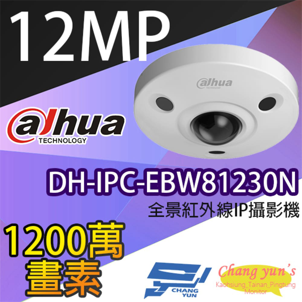 大華 DH-IPC-EBW81230N 1200萬畫素 IPcam 全景網路攝影機