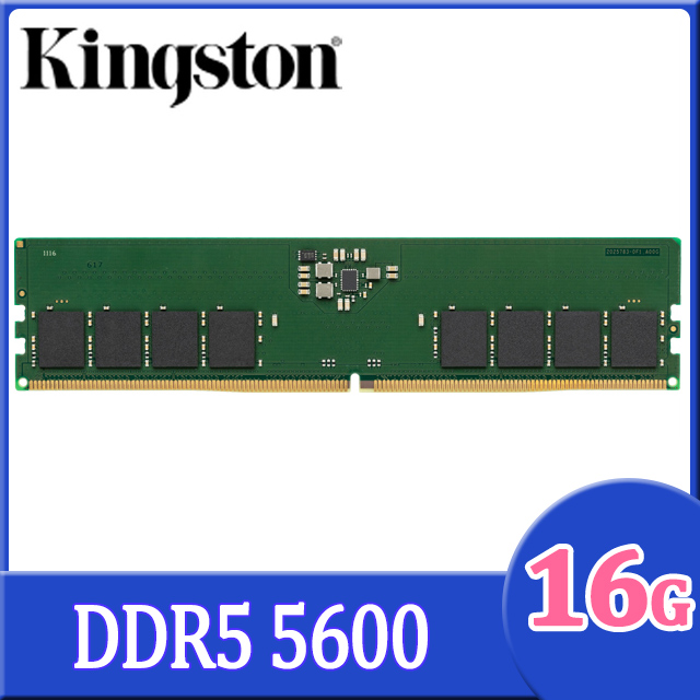 金士頓 Kingston DDR5 5600 16GB 桌上型記憶體(KVR56U46BS8-16)