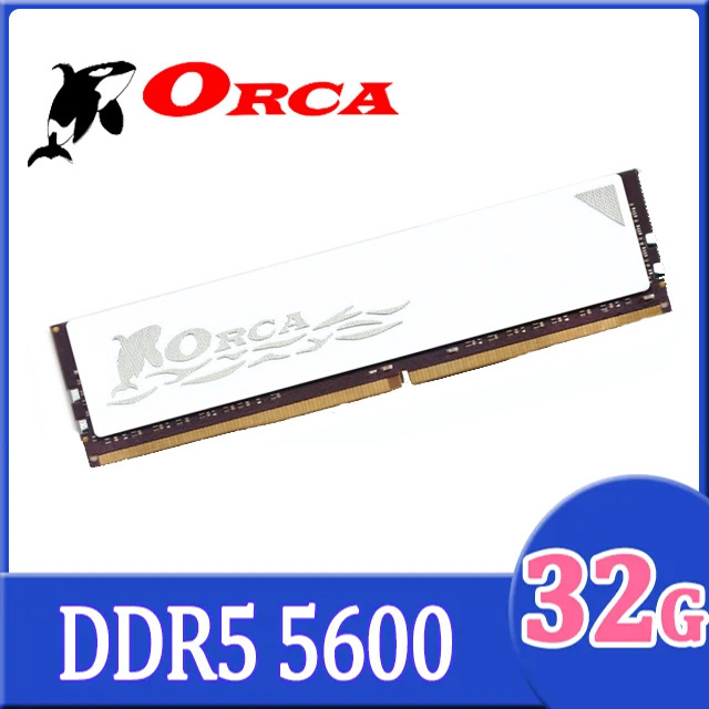 ORCA 威力鯨 DDR5 32GB 5600 桌上型記憶體-白