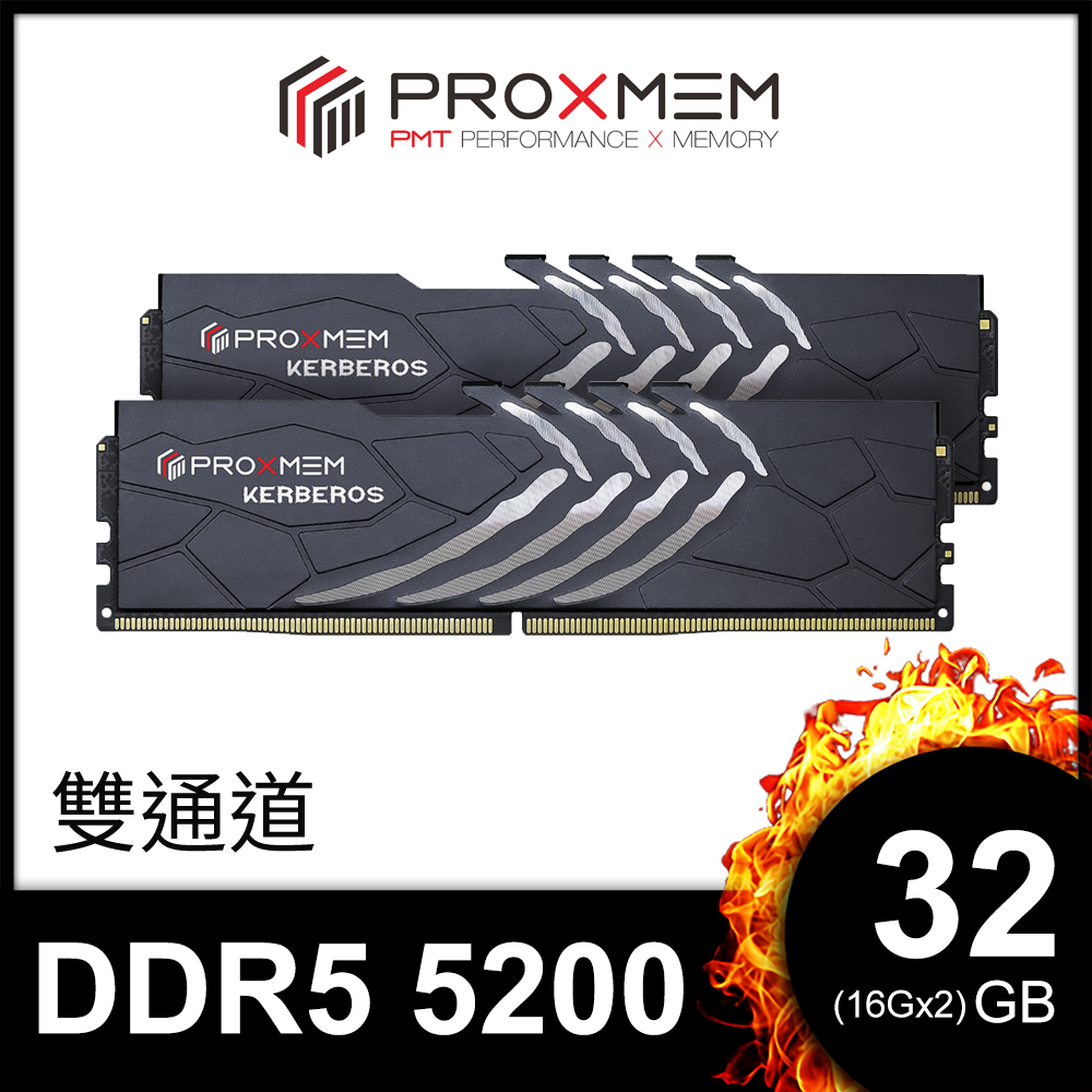 博德斯曼PROXMEM KERBEROS 地獄犬散熱片系列DDR5 5200/CL40 32GB(雙通16GBx2) 桌上型超頻記憶體