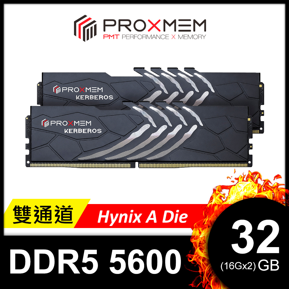 博德斯曼PROXMEM KERBEROS 地獄犬散熱片系列DDR5 5600/CL36 32GB(雙通16GBx2) 桌上型超頻記憶體