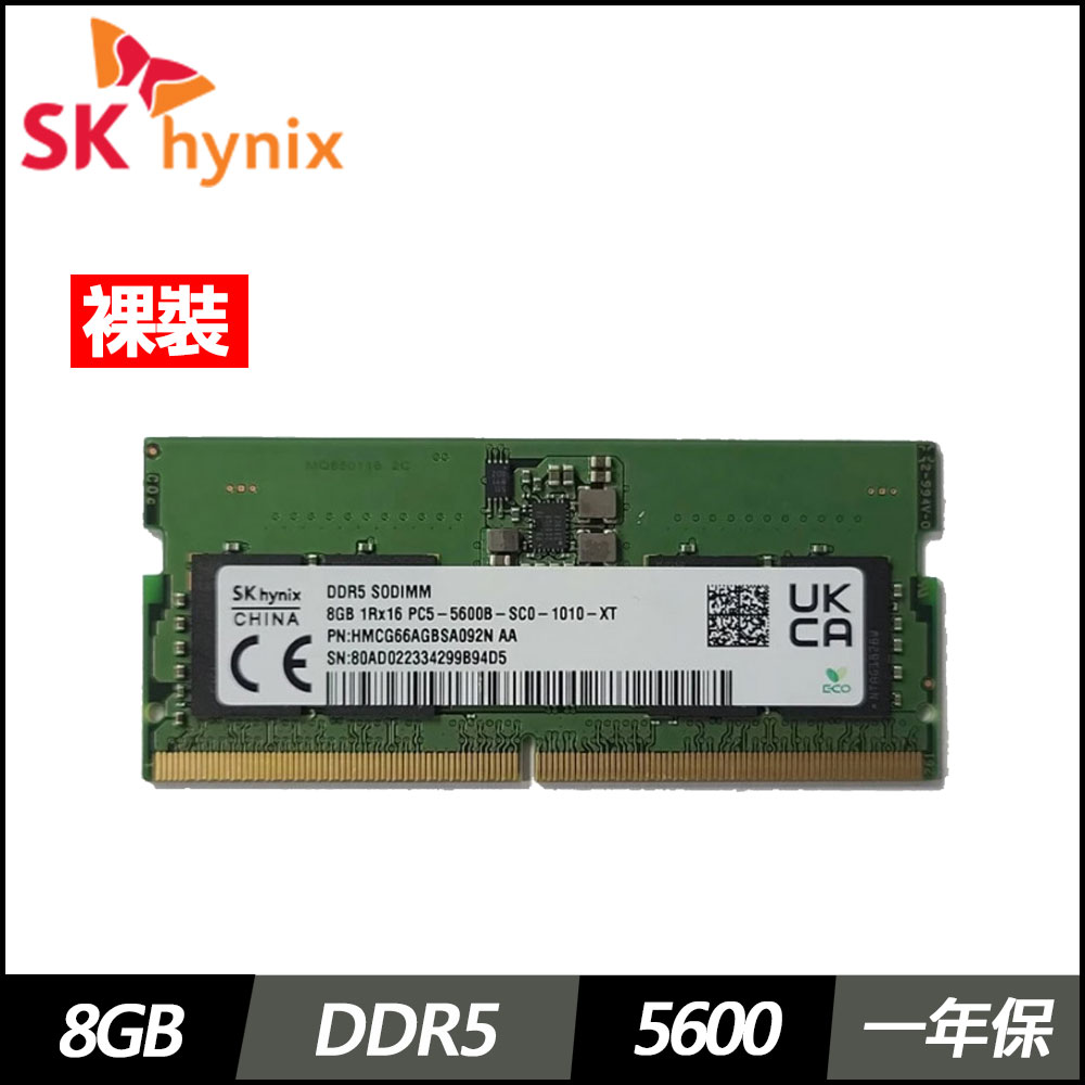 SK Hynix 海力士 8G DDR5-5600(單條裸裝)
