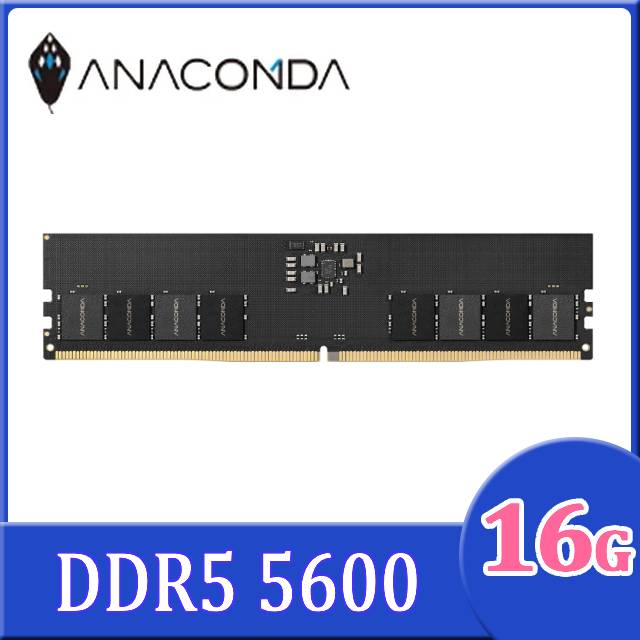 ANACOMDA巨蟒 DRAM DDR5 5600MHz UDIMM 16GB