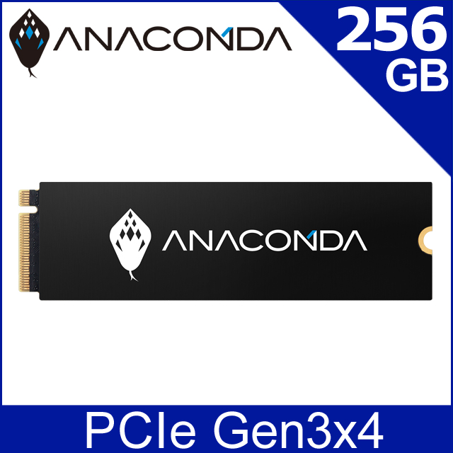 ANACOMDA 巨蟒 i2 256G Gen3x4 M.2 2280 PCIe SSD