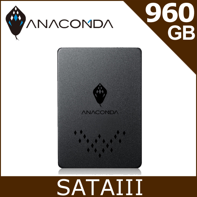 ANACOMDA巨蟒 TB 960GB SATA SSD