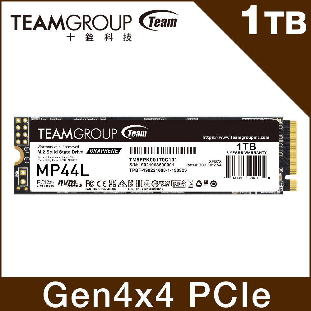 TEAM 十銓 MP44L 1TB M.2 PCIe SSD 固態硬碟