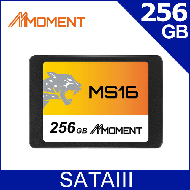 閃點Moment MS16 256GB 2.5吋 SATAIII SSD固態硬碟