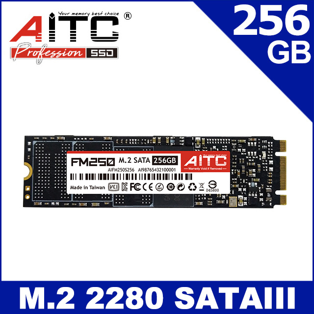 AITC 艾格 FM250 SSD 256GB M.2 2280 SATAIII 固態硬碟