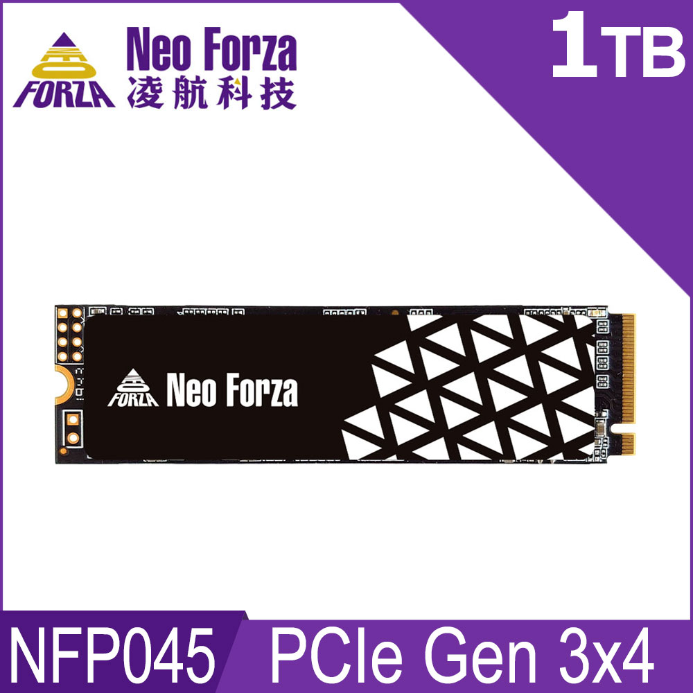 Neo Forza 凌航 NFP045 1TB Gen3 PCIe SSD固態硬碟(石墨烯散熱片)
