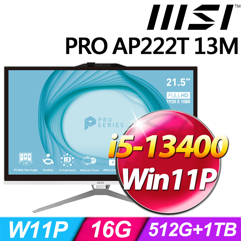 MSI PRO AP222T 13M-209TW-SP2 (i5-13400/16G/1TB+512G SSD/W11P)特仕版