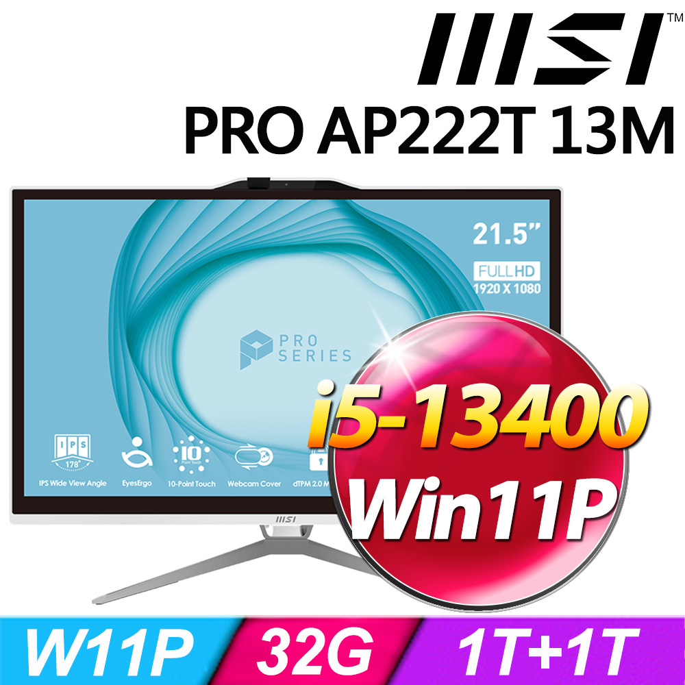 MSI PRO AP222T 13M-209TW-SP6 (i5-13400/32G/1TB+1TB SSD/W11P)特仕版
