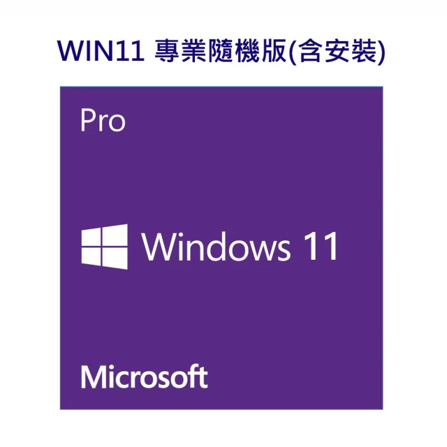 Windows 11 專業隨機版 64位元中文版{含安裝}