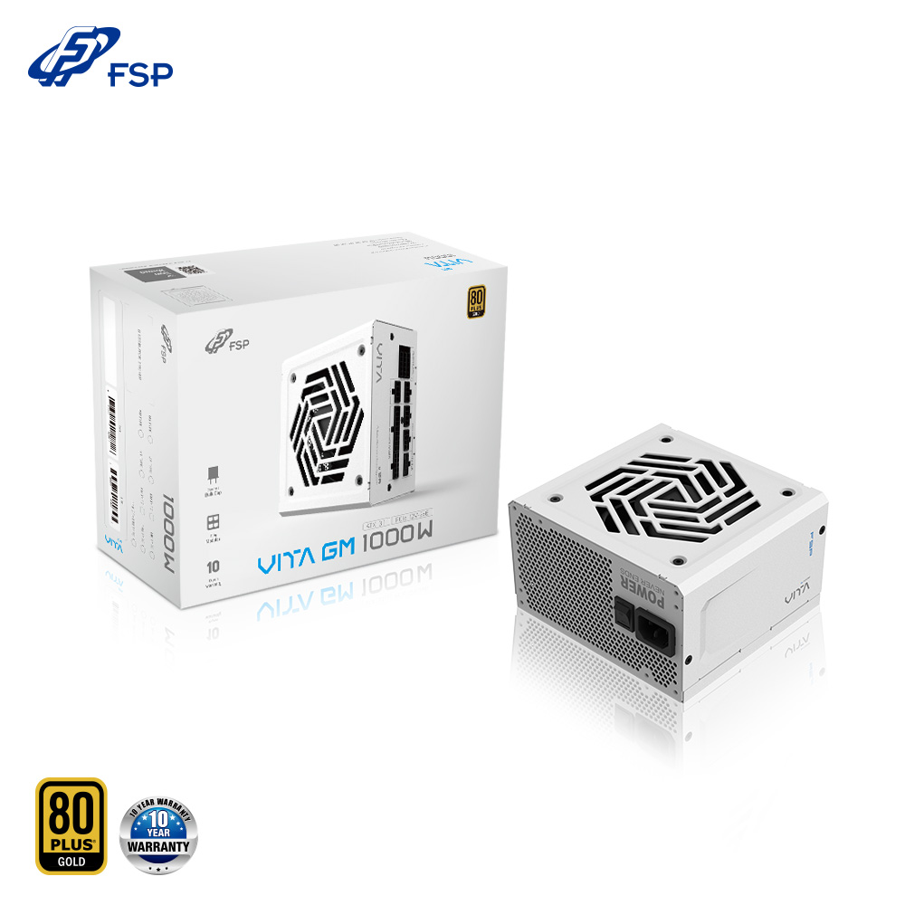 FSP 全漢 VITA GM 1000W 白色 80PLUS 金牌 全模組 電源供應器