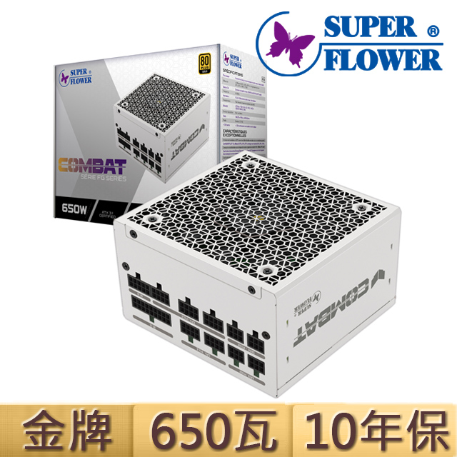 振華 COMBAT FG ATX3.1 金牌 全模組 650W