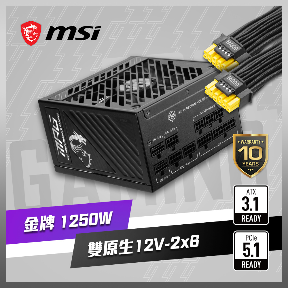 微星 MPG A1250GS PCIE5 電源供應器