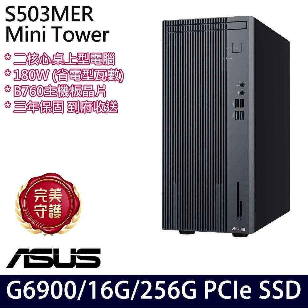 ASUS S5 Mini Tower H-S503MER(G6900/16G/256G SSD)特仕