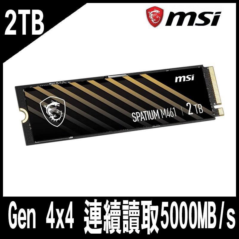 1.MSI微星 SPATIUM M461 2TB PCIe 4.0 NVMe M.2 SSD-限時促銷