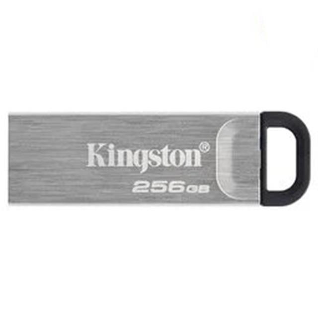 金士頓 Kingston 256GB 256G DTKN-256G DTKN USB 3.2 隨身碟