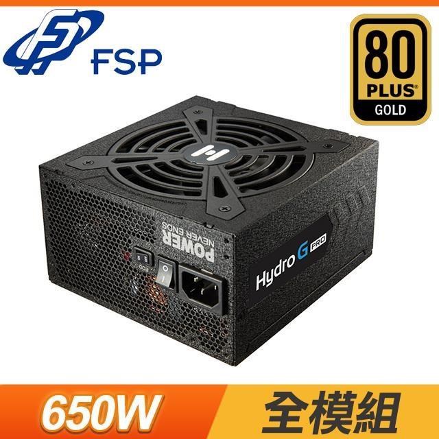 FSP 全漢 HYDRO G PRO 650 650W 金牌 全模組 電源供應器 (10年保)