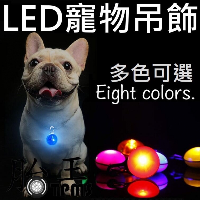 【寵物發光吊飾(8入裝)】LED寵物吊飾 防走失吊飾 夜間安全 安全燈
