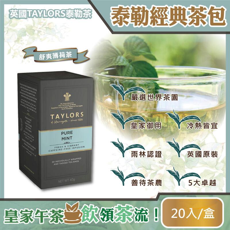英國Taylors泰勒茶-特級經典茶包系列20入/盒-舒爽薄荷茶(青)