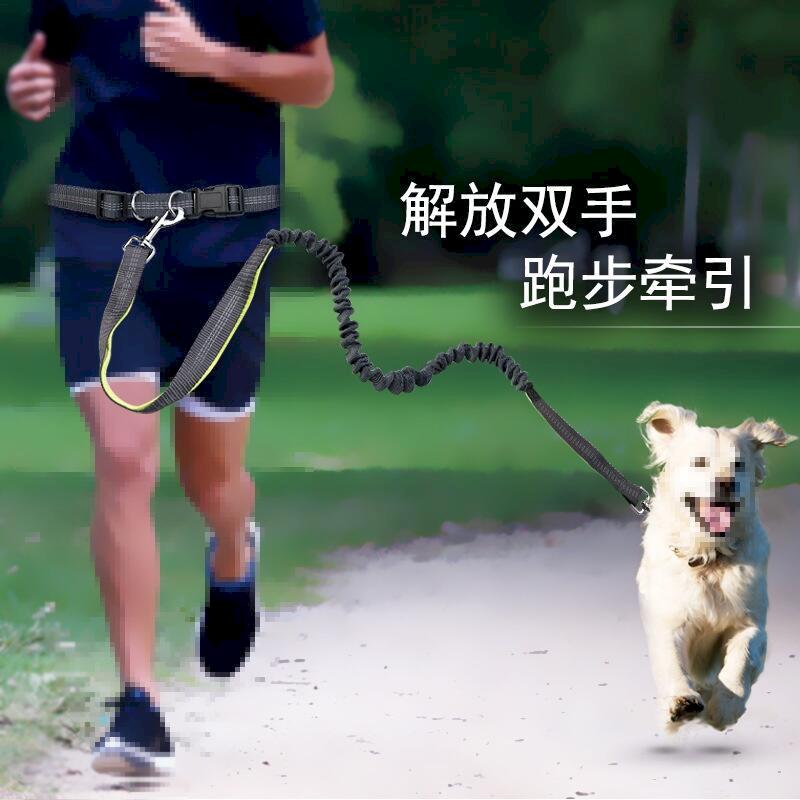 [解放雙手 跑步牽引繩 伸縮款 遛狗繩 懶人遛狗