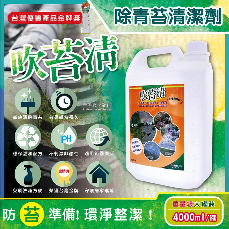 (10罐)吹苔清-除青苔清潔劑(4公升重量級大罐裝)