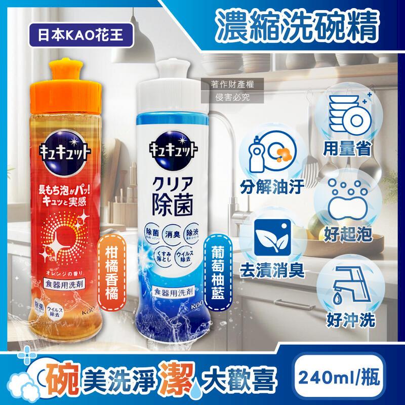 (10瓶)日本KAO花王-珂珂透洗碗精240ml瓶裝