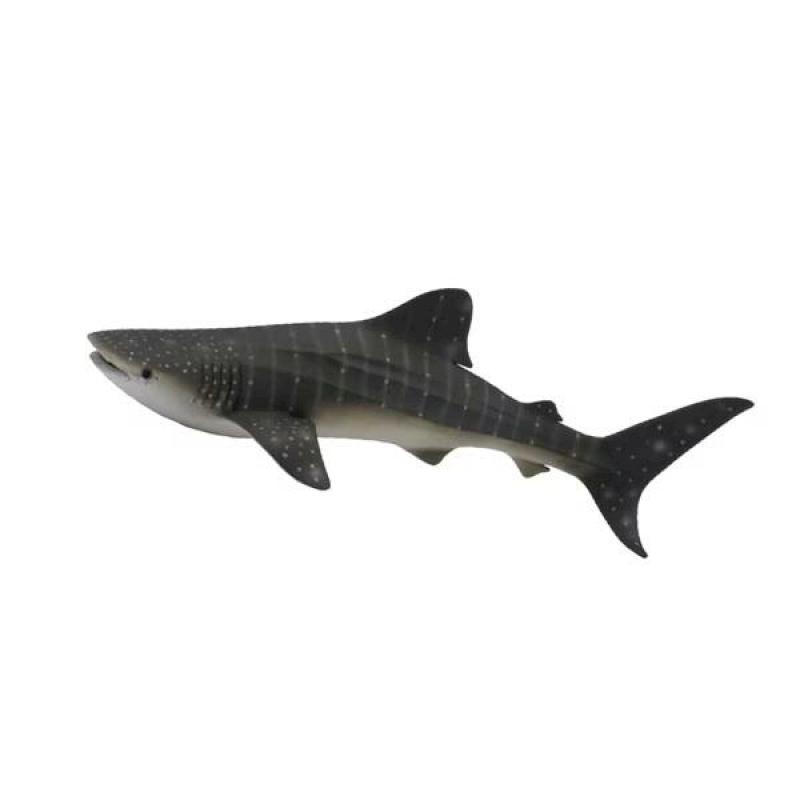 collectA 鯨鯊~英國高擬真模型-R88453【永曄 小牛津 柯雷塔】