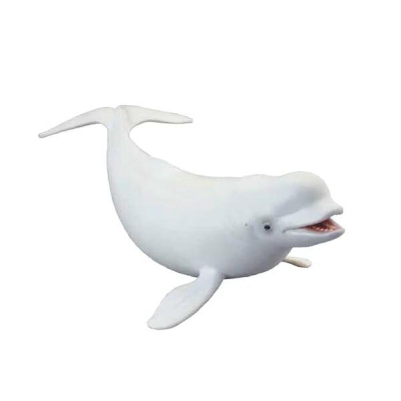 collectA 白鯨~英國高擬真模型-R88568【永曄 小牛津 柯雷塔】