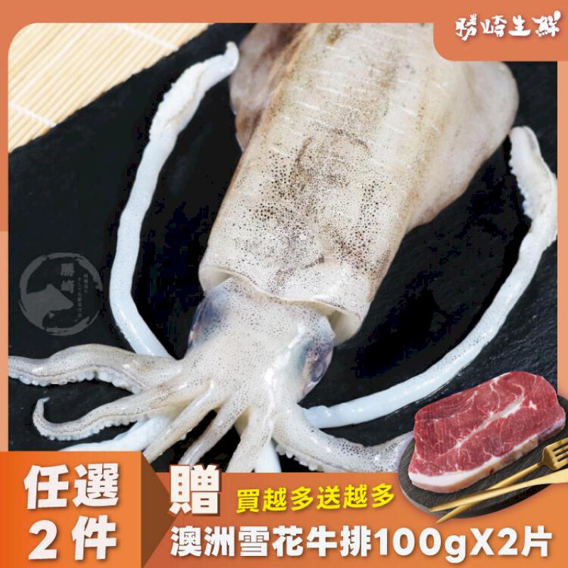 【3隻組】鮮脆活凍軟絲(330公克/1隻)