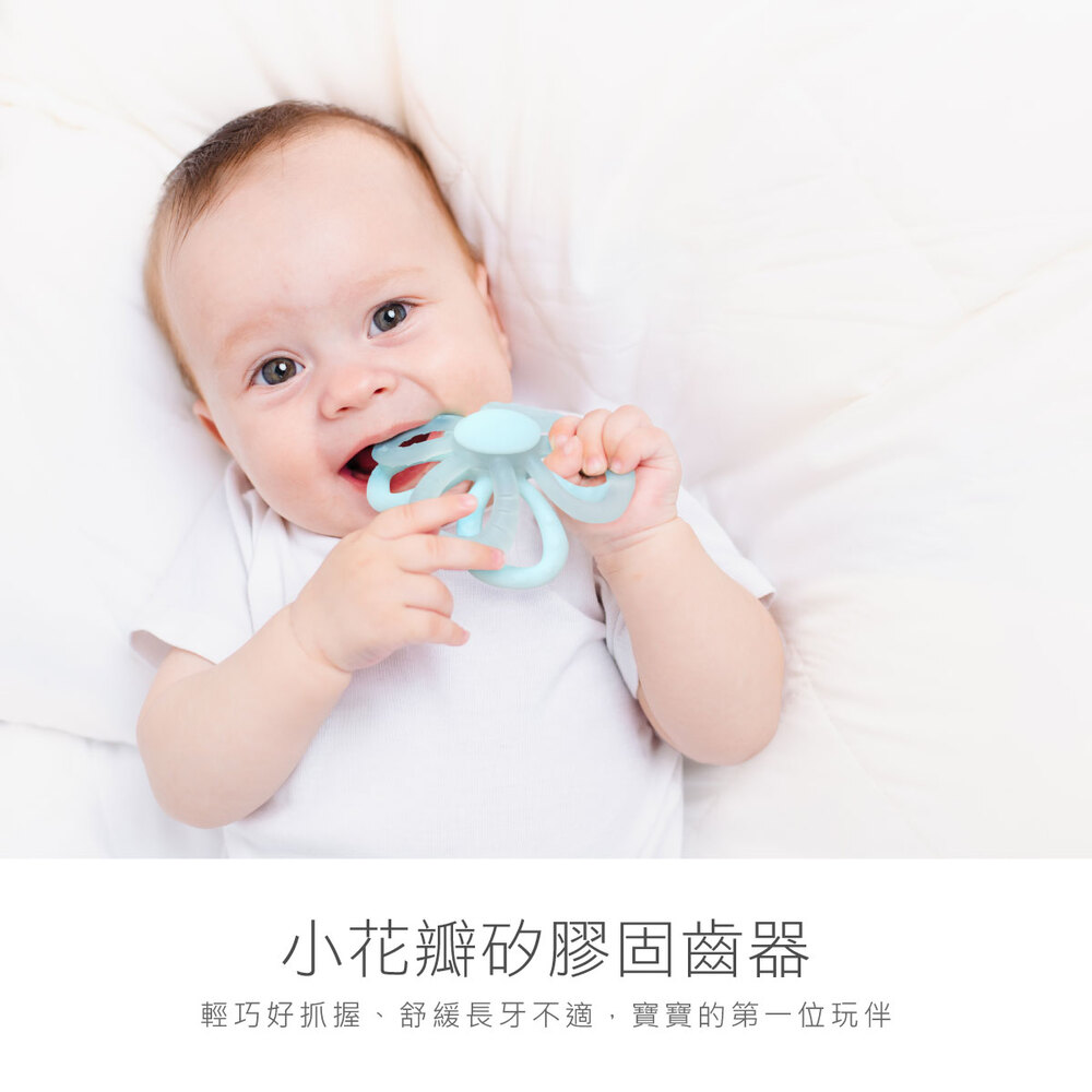 酷咕鴨KUKU PLUS小花瓣矽膠固齒器(氣泡藍/莓果粉/伯爵奶)