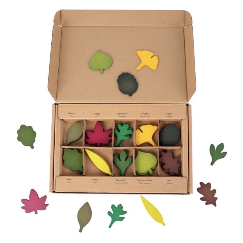 木製樹葉系列 鬆散葉子拼搭盒 木製葉子素材