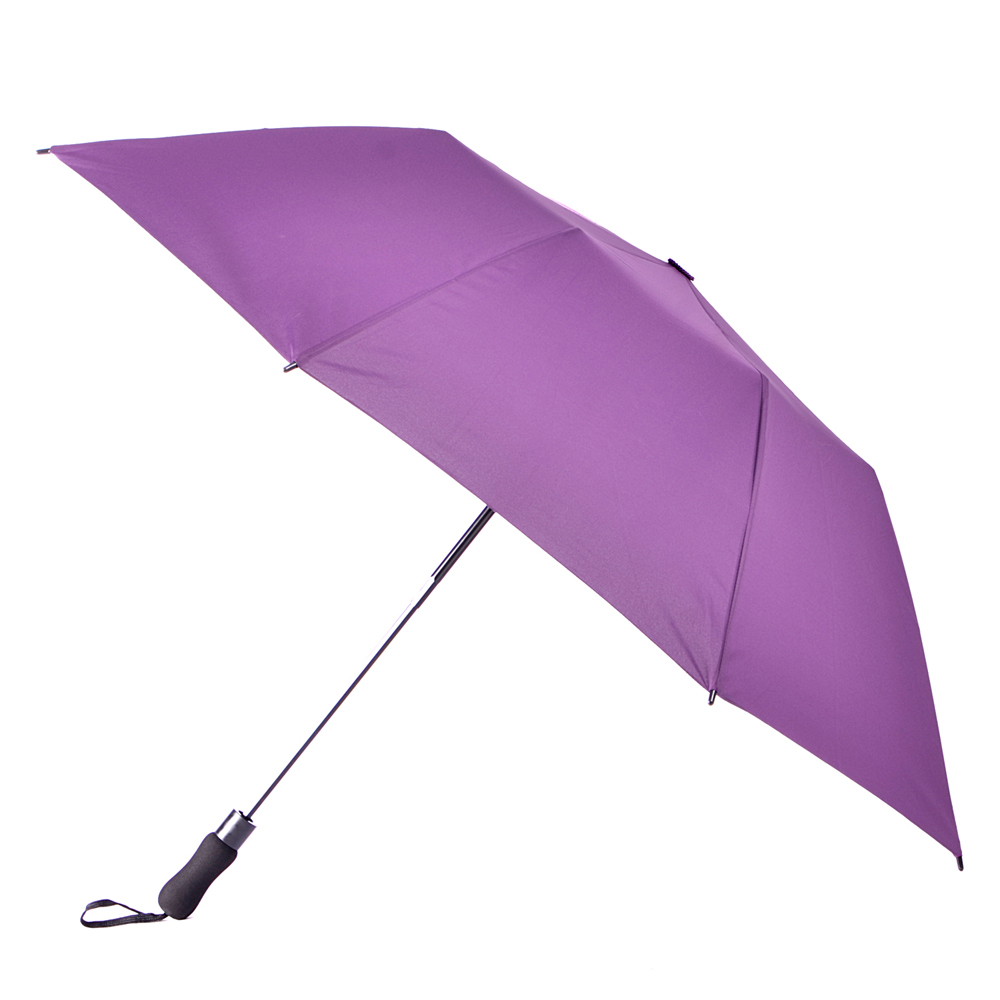 【2mm】貝斯運動風 大傘面兩折自動傘_紫色