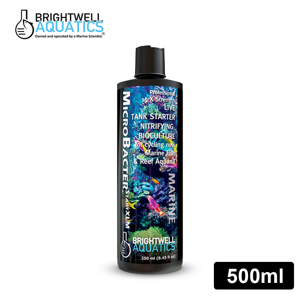 【百威 Brightwell Aquatics】 專業硝化菌 啟動版XLM 500ml