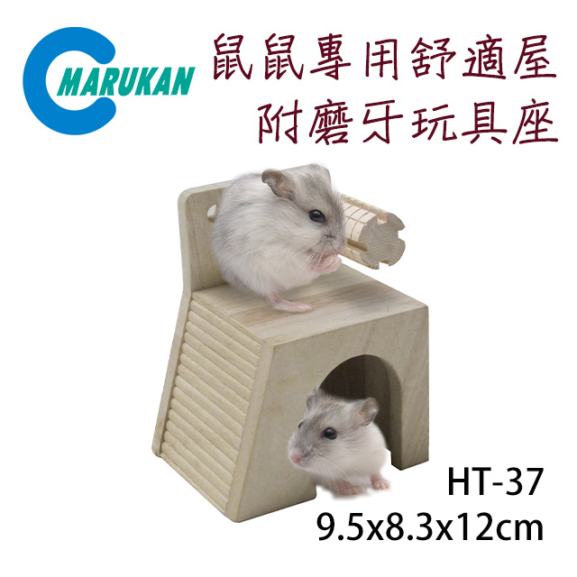 日本【MARUKAN】木製組裝式 鼠鼠專用舒適屋 附磨牙玩具座 HT-37