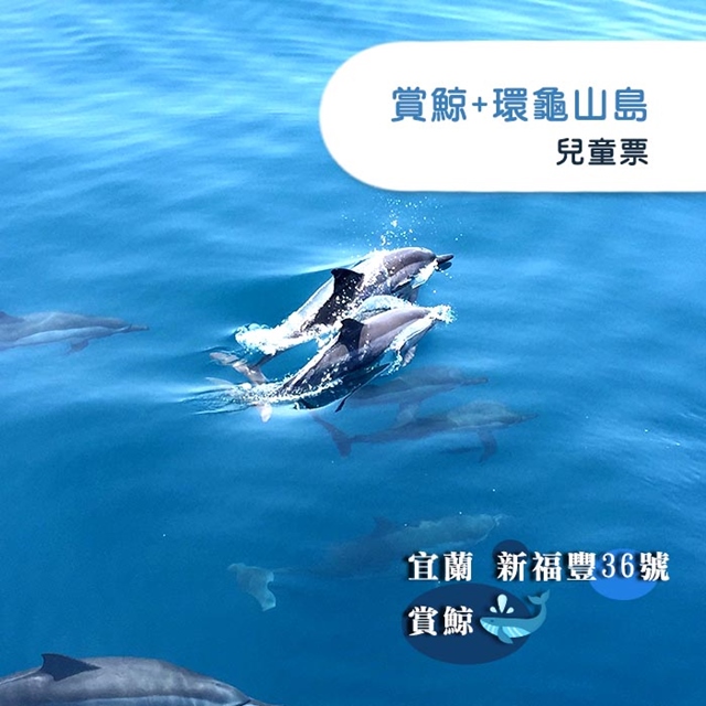 【宜蘭】新福豐36號賞鯨+環龜山島-兒童票