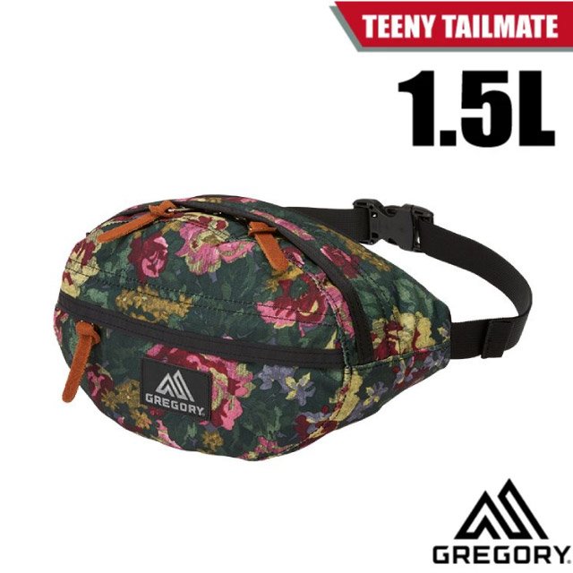 【GREGORY】TEENY TAILMATE 1.5L 超輕可調式腰包(輕巧好收納.可調整式腰帶) 119651-0511 花園油彩