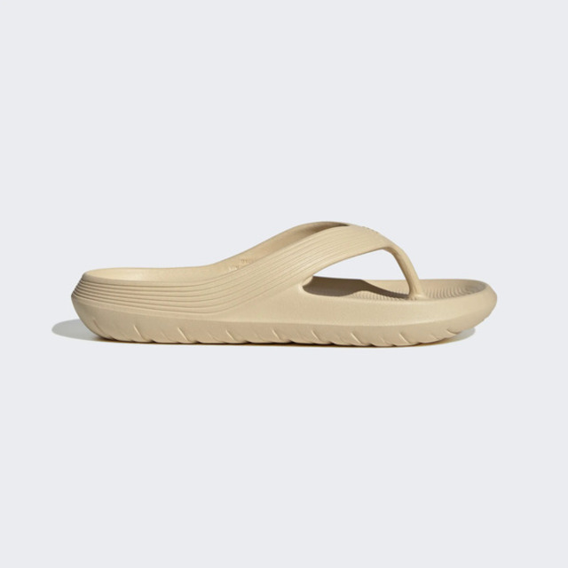 Adidas Adicane Flip Flop [HQ9919 男女 人字拖鞋 夾腳拖 休閒 夏日 泳池 海灘 米黃