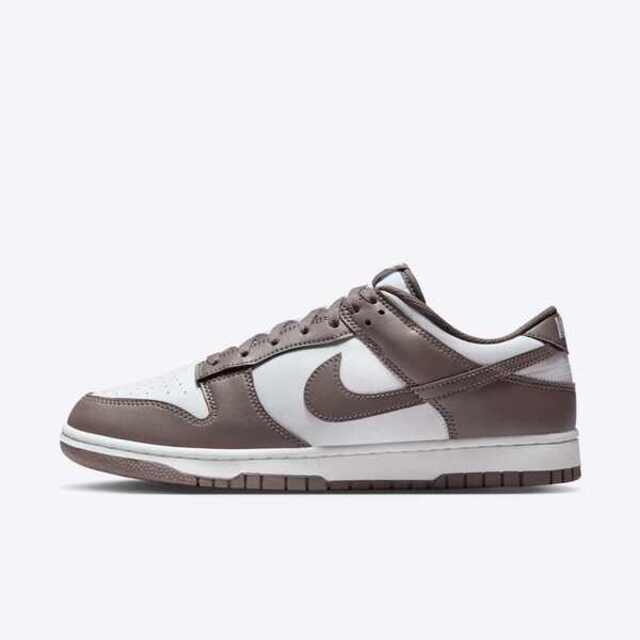 Nike Dunk Low Retro HF5441-111 男 運動休閒鞋 低筒 復古 舒適 穿搭 咖啡灰