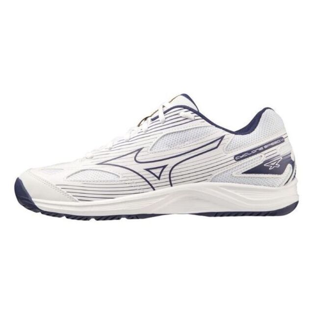 Mizuno Cyclone Speed 4 [V1GA238043 男女 排球鞋 基本款 運動 訓練 輕量 白 藍紫