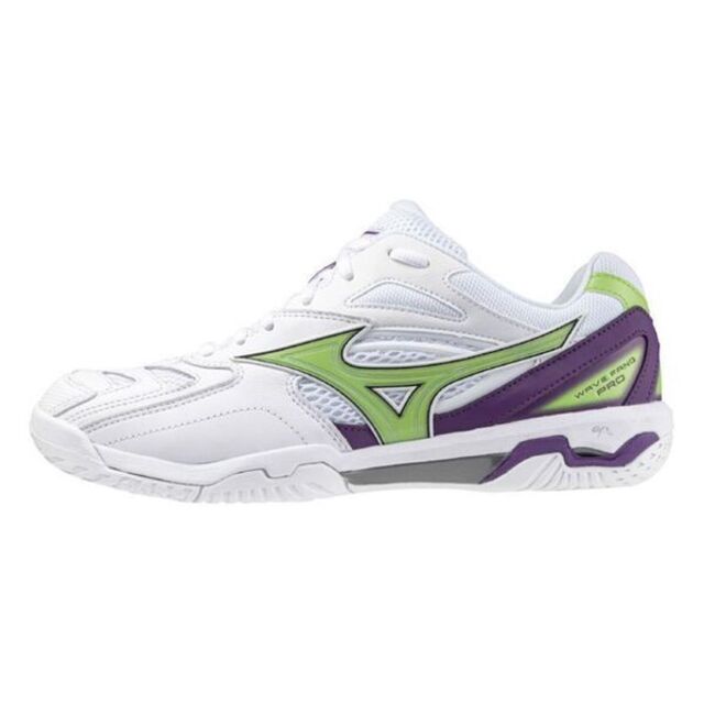 Mizuno Fang [71GA210000 男女 羽球鞋 寬楦 柔軟 舒適 輕量 高彈性 止滑 美津濃 白 綠紫