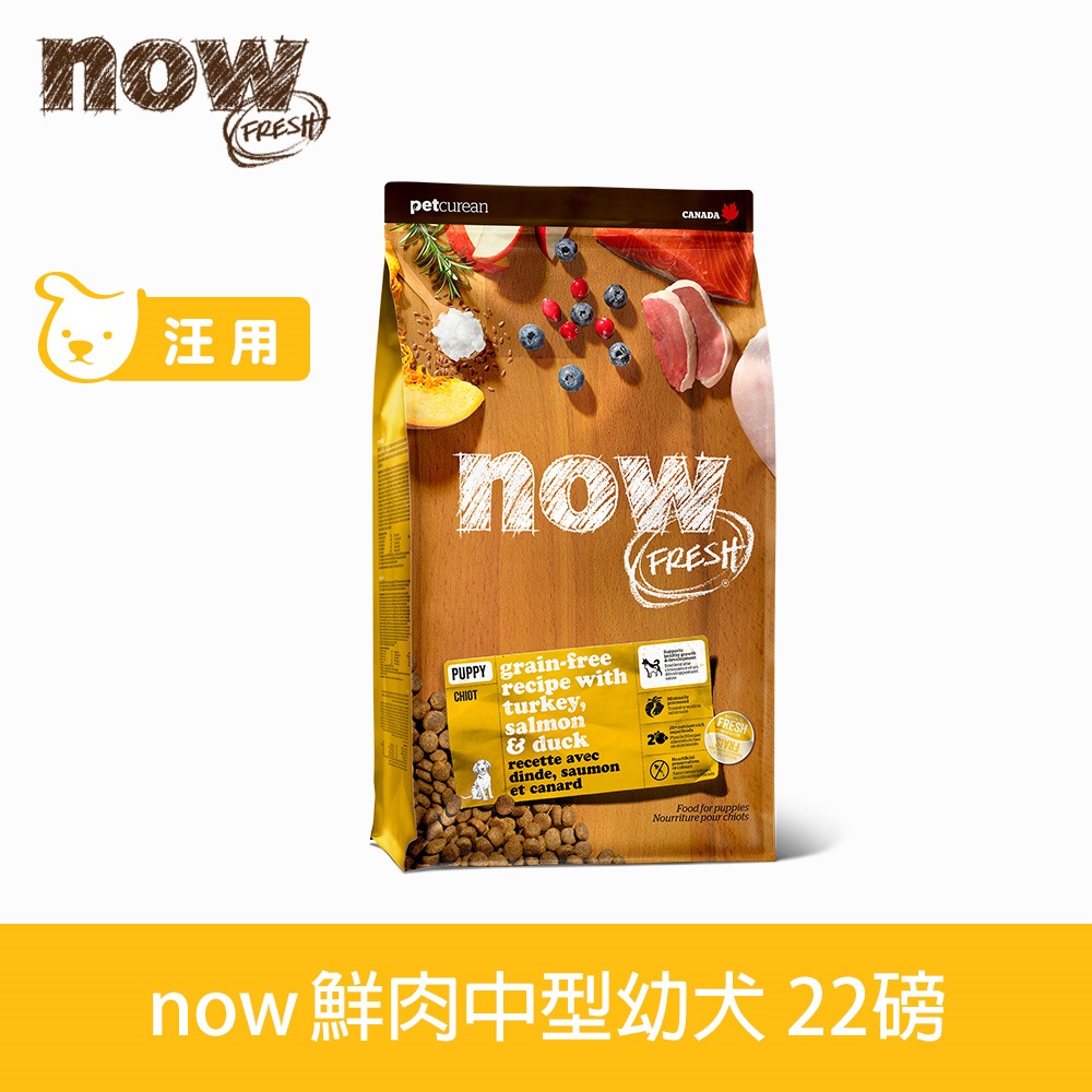 now 幼犬/懷孕犬 鮮肉配方22磅 狗狗無穀天然糧