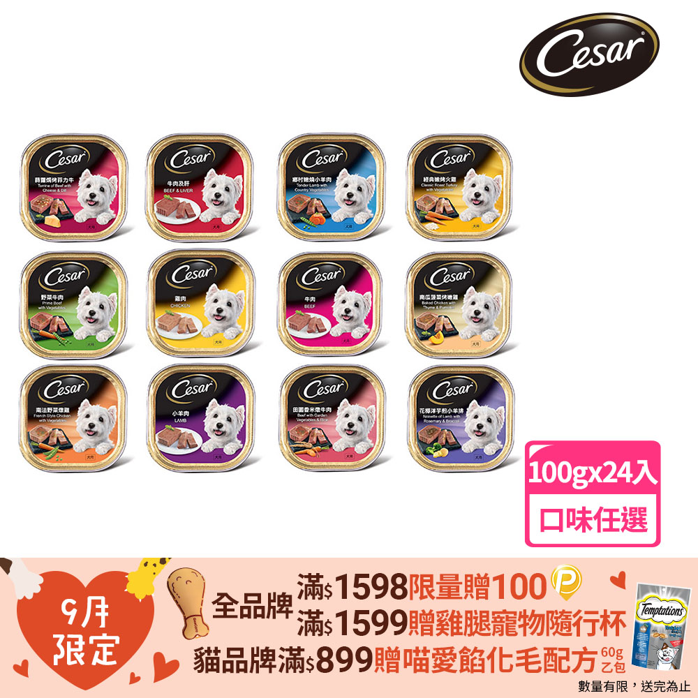 【Cesar西莎】精緻/風味餐盒 100g*24入 寵物/狗罐頭/狗食